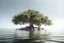 Placeholder: a big tree in the sea, full view, side view very light environment, 8k realistic photo