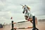 Placeholder: Realistic unicorn with a long silvery mane and white fur jumping over an obstacle on an equestrian show jumping course, realistic, grainy photography, gritty image, cloudy sky, dust