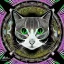 Placeholder: mystical black and white cat stretches on a psychedelic pyramid