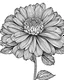 Placeholder: real massive only Zinnia flower, coloring page, no leaves, full body (((((white background))))), only use an outline., real style, line art, white color, clean line art, white background, Sketch style