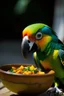 Placeholder: a bird, similar to a parrot, stealing food