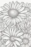 Placeholder: daisies flower picture coloring page with decorative border around edges no color
