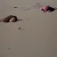 Placeholder: Let your head roll around in the sand like your head rolls around in the sound of the sand in your head