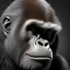 Placeholder: Gorilla unreal 5, octane render,cinema4d, dynamic lighting, dramatic lighting, 4k, redshift render, highly detailed, hyper realistic, in space