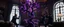 Placeholder: Some well dressed goths fighting each other with sticks to contain energy from floating chtonian dark purplish glowing snakelike tree made by twisted snakelike sticks creating weird geometric form in dramatic scene in luxury parlour in the style of Giger and Escher