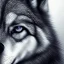 Placeholder: black wolf, black, masterpiece, expert, 8K, hyperrealism, sharp focus, cinematic lighting, blue