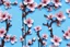 Placeholder: fantastic light pin blue background with three cherry blossoms in a column repeated 4 times with variations