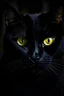 Placeholder: Cat Noir