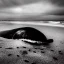 Placeholder: b&w photograph of beautiful sperm whale washed up on shore, face view, lifeless, debris, foamy wave, sand, rock, 8k resolution, high-quality, fine-detail, detailed matte, photography, illustration, digital art, Jeanloup Sieff, Moe Zoyari, Marc Adamus, Ann Prochilo, Romain Veillon