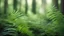 Placeholder: Fern leaf forest with blurred background