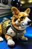 Placeholder: Corgi tortoise lifelike in space