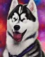 Placeholder: Hermoso perro Husky Siberiano con traje y corbata máximalista intrincado detallado impactante obra de arte impresionista 4k