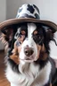 Placeholder: Dog with hat