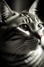 Placeholder: кот