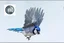 Placeholder: vitrail d'un geai bleu ailes déployées art déco d'après mucha