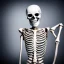 Placeholder: Smiling skeleton, photographer in studio. Big camera in hands. Photographic equipment, cameras, softboxes are in background. High detailed. Photorealistic. Scarry mood. volumetric lighting