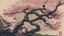 Placeholder: Japanese cherry blossom, comic style