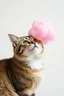 Placeholder: A pink plastic cloud floating in the cat