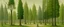 Placeholder: A grayish green forest with giant trees painted by Georges Seurat