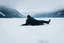 Placeholder: in distance side a wiev a figure in dark clothes and long black leather coat lies on his back in the snow in a winter landscape, alone, white snow, high contrast, cold, winter, mountains, white, blue, gray and black colors, cinematic, atmospheric, dark, gloomy, thriller vibe, crepy stunning