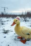 Placeholder: bestemor duck i tsjernobyl