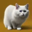 Placeholder: concerned white cat