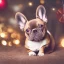 Placeholder: Portrait of a cute little french bulldog with brown fur celebrating new year and christmas