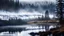 Placeholder: fir forrest,lake side,mist shadows,winter season,a super close shot of an elk,reflections,dramatic scene