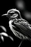 Placeholder: Bird Black white digital