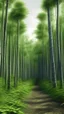 Placeholder: realistic photo of a tall bamboo trees in a landscape