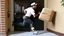 Placeholder: suspiciously looking Tyrone sneaking away with small delivered package from apartment mailroom