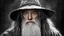 Placeholder: by j.r.r. tolkien, Gandalf, (grey but extremely beautiful:1.4), (masterpiece, best quality:1.4) , in the style of nicola samori,