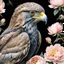 Placeholder: Adobe Prompt: a head study of a bird of prey, side view, surrounded by beautiful peonies, beautiful light, romantic setting, sharp look, shiny feathers, glamour glow, small depth of field. Black background.