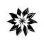 Placeholder: A simple black logo of an edelweiss, vectorized, white background