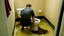 Placeholder: Hotel room toilet full of sewage overflows while man tries to still defecate into it