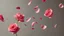 Placeholder: A Realistic Rose Petals Whirling In Air.