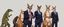 Placeholder: evolution from lizard foxes to kangaroos men in suits shaking hands looking cool, anime style