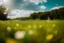 Placeholder: shot from front ,green field and wild flower field ,beautiful girl in pretty dress curly hair walking in water toward camera in trees next to wavy river with clear water and nice sands in floor.camera capture from her full body front, spring blosom walking to camera ,wild flowers moving in the wind ,blue sky,moving pretty clouds ,joy full facet.