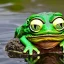 Placeholder: pepe the frog riding a snapping turtle on the edge of a mody pond