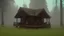 Placeholder: cabin in a clearing in the swamp