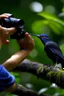 Placeholder: buatkan sebuah gambar seorang fotografer yang sedang memotret seekor burung yang sangat langka sedang hinggap di dahan pohon