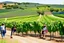 Placeholder: turistas en viñedo de Rioja, España. Fotografía con cámara Canon y objetivo 50 mm