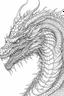 Placeholder: coloring image of dragon, line art, realistic, white background