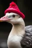 Placeholder: goose with christmas hat