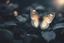 Placeholder: diaphanous transparent light butterfly with glowing center on dark grey leaves, ethereal, otherwordly, cinematic postprocessing, bokeh, dof