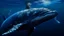 Placeholder: Primer plano de una ballena jorobada emergiendo en aguas profundas con partículas de plancton alrededor, fotografía submarina cinematográfica con luz azul difusa