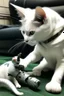 Placeholder: Picture of a white cat playing with solid snake from metal gear solid.