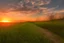 Placeholder: Sunset, grass, pathway