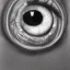 Placeholder: Pencil sketch of eyeball