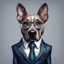 Placeholder: make one realistic business dog that is made of shapes and has a suit on looks a very little like crystals lowest 2048 x 1152 pixels and highest 6 MB need to be a alpha